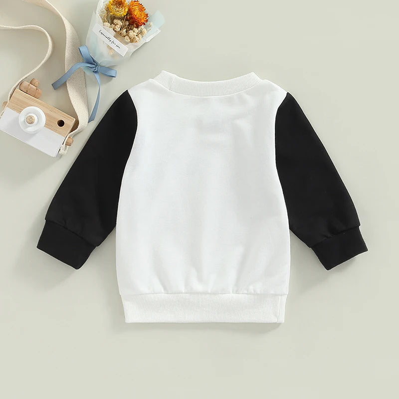 Block Sleeve Pullover